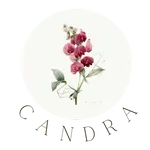 Logo by Take A Peak Webdesign Candra