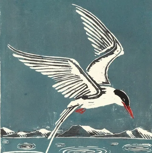 Arctic Stern, Marieke ten Berge, Lemniscaat