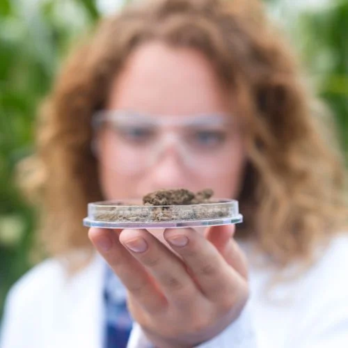 A woman holding a petri dish